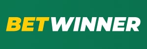 Casinoin.io
